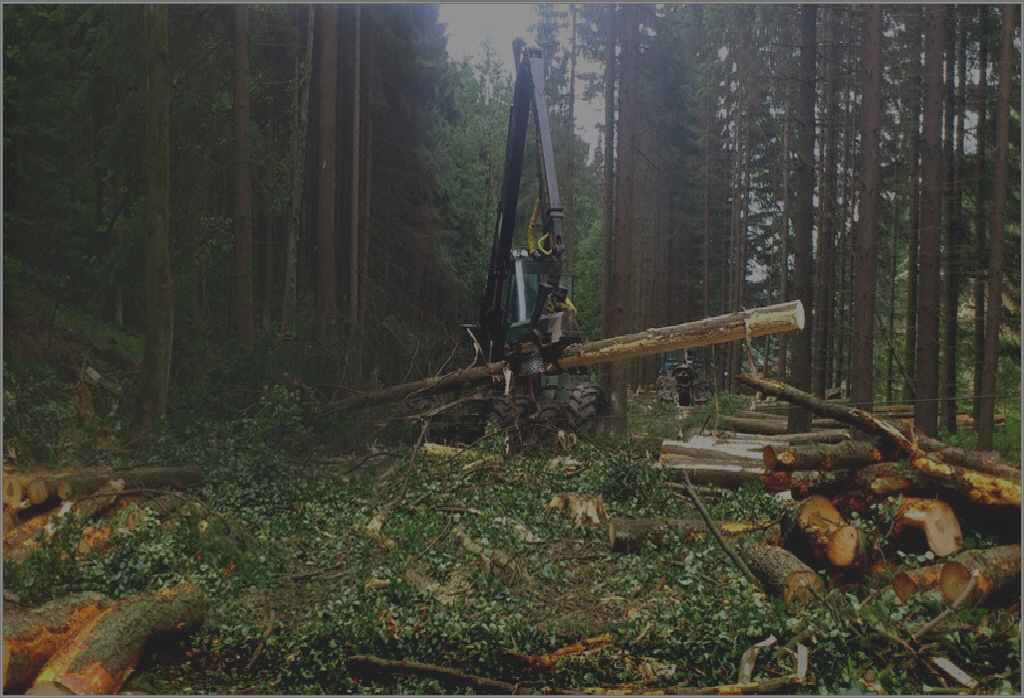 Holzfälle- und Rückebetrieb Franz Geisler